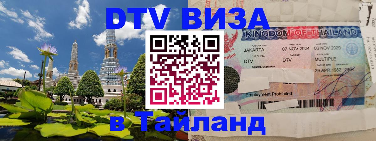 Оформить DTV визу в Тайланд Бердск 